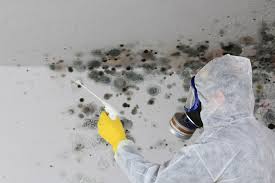 Best HVAC Mold Inspection and Cleaning  in Locust Valley, NY